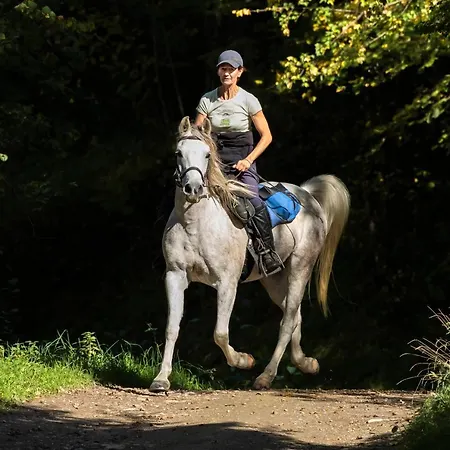 D'hotes La Maison Blanche 3* Lorp Sentaraille