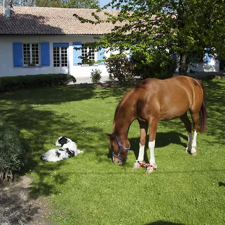 Bed & Breakfast D'hotes La Maison Blanche