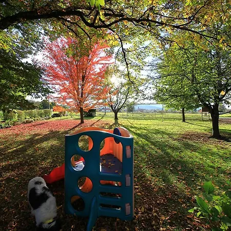 D'hotes La Maison Blanche 3* Lorp Sentaraille