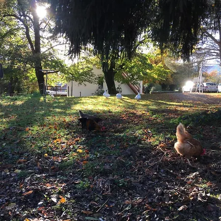 D'hotes La Maison Blanche Bed & Breakfast 3*