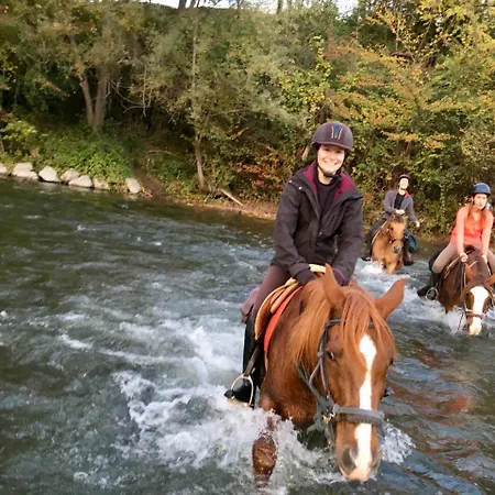 D'hotes La Maison Blanche Bed & Breakfast