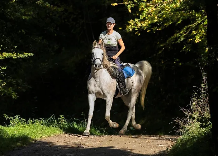 D'hotes La Maison Blanche 3* Lorp-Sentaraille