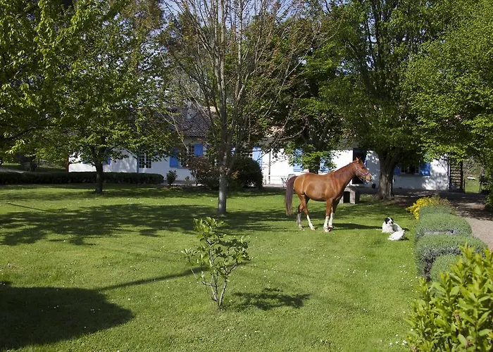 D'hotes La Maison Blanche Frühstückspension