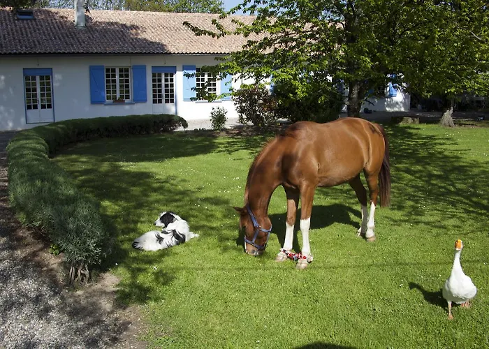 Frühstückspension D'hotes La Maison Blanche