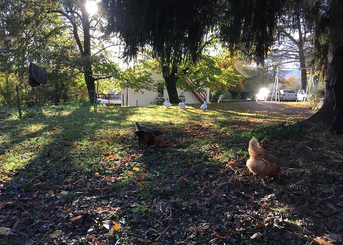 D'hotes La Maison Blanche Frühstückspension 3*