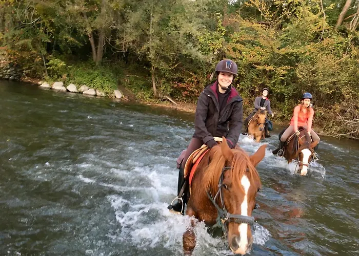 D'hotes La Maison Blanche Frühstückspension